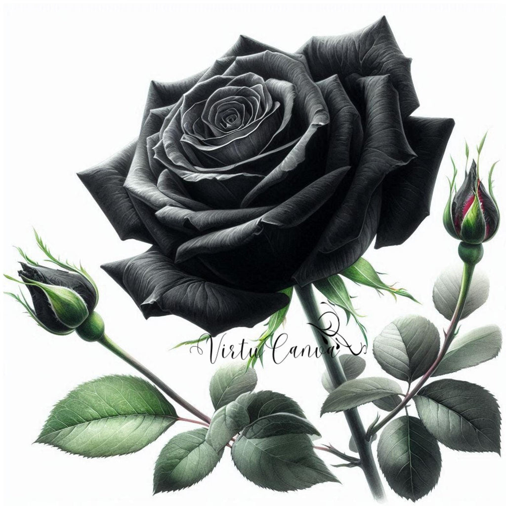 Watercolour Purple Rose PNG Clipart | 12 Flower Digital Images | Instant Download