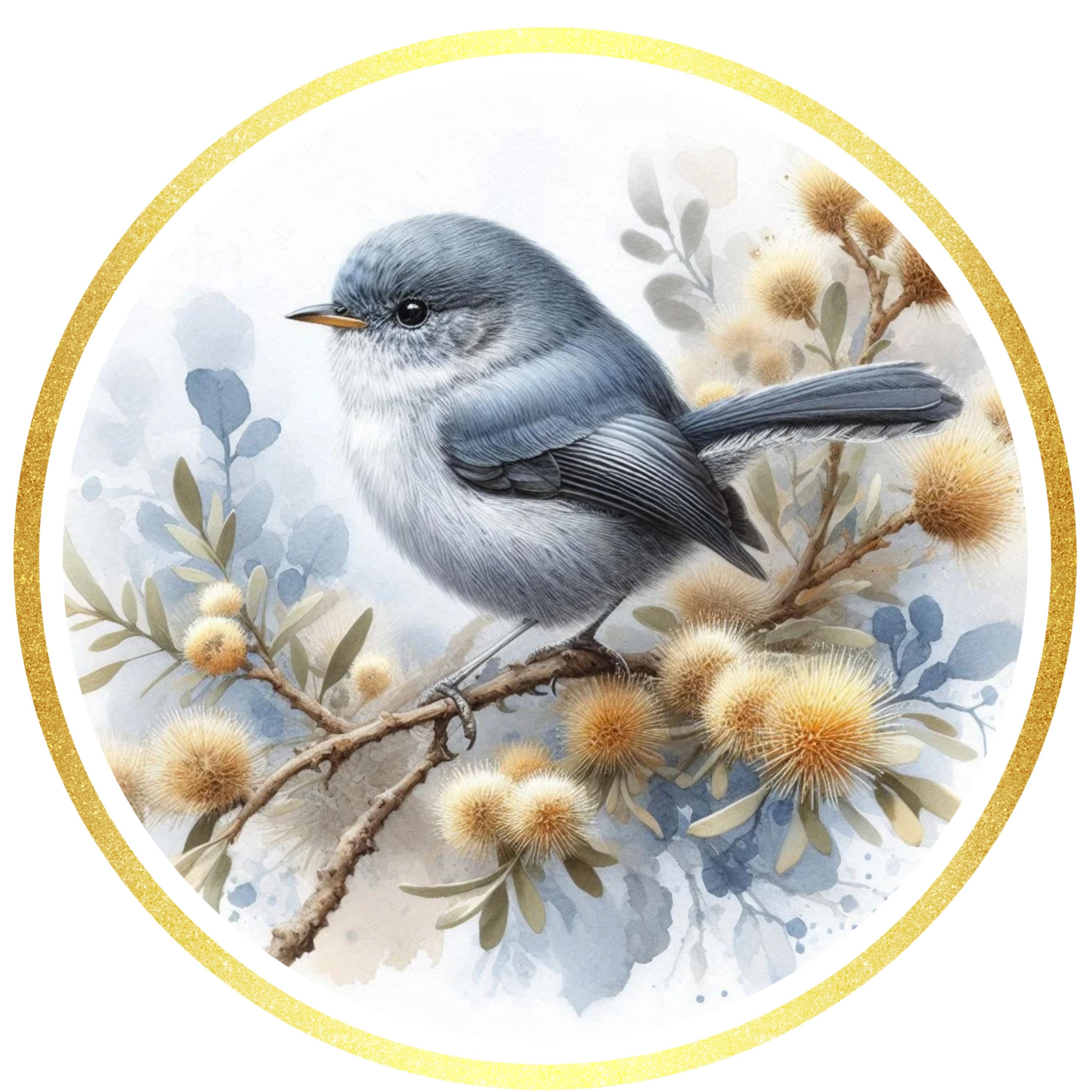 Blue Wren Watercolour Clipart Bundle – Superb Fairy Wren | 15 PNG Instant Download