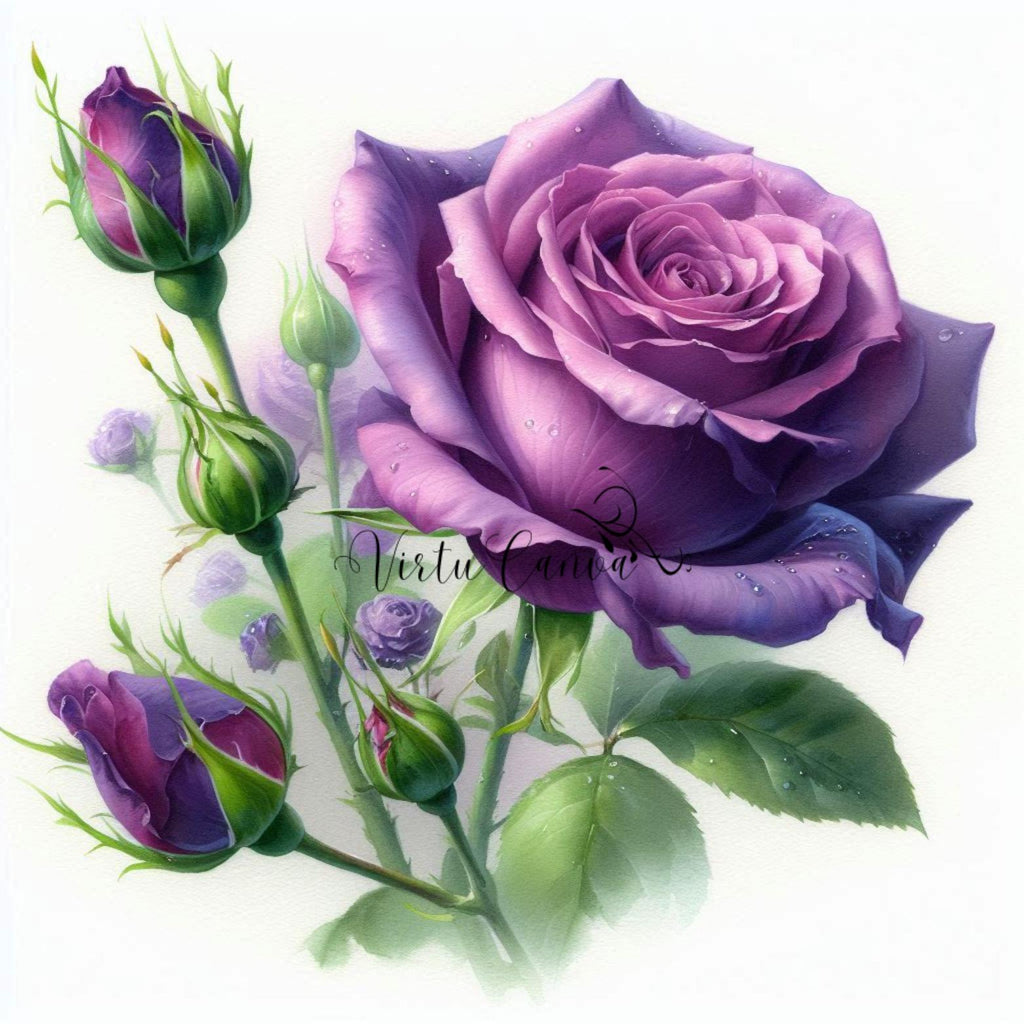 Watercolour Purple Rose PNG Clipart | 12 Flower Digital Images | Instant Download